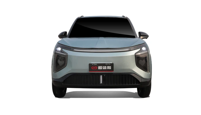 Electric Four Wheel Vehicle