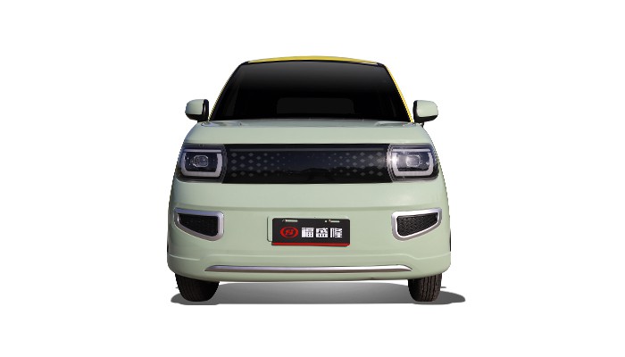 Low-Speed Four-Wheel Electric Vehicle