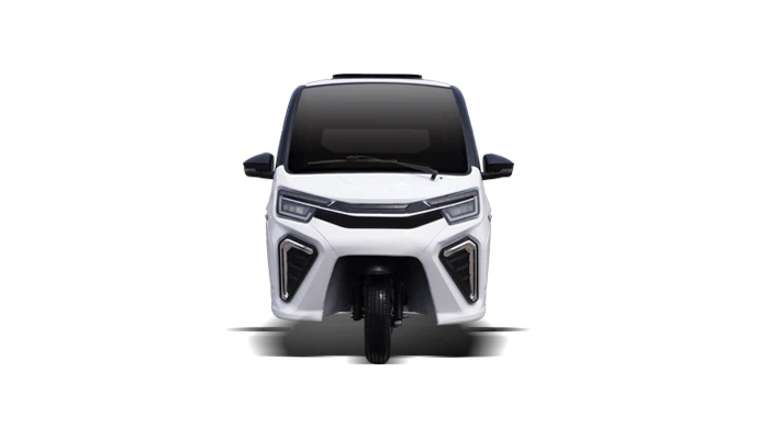 Pickup Electric Tricycle