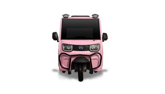 Mini Freight Tricycle