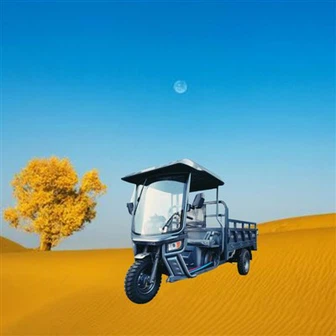 Shelf Mounted Three Wheeled Electric Vehicle