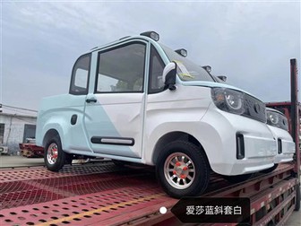 Two Door Electric Pickup Truck